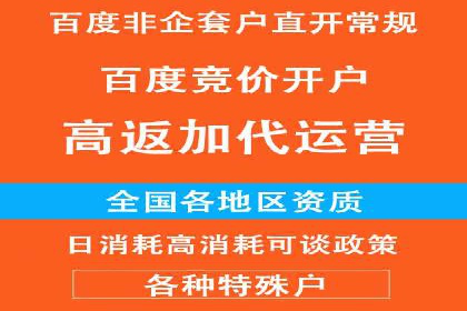 行业报告：专业SEM托管的成功实践与挑战